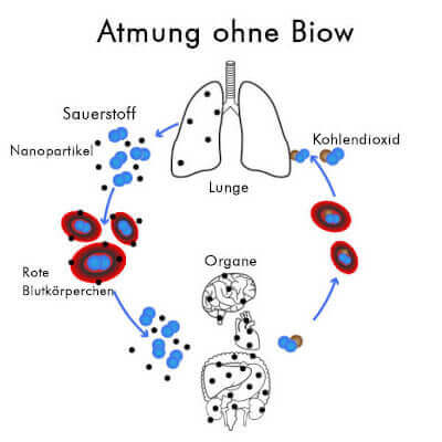 Ionisator | Atmung ohne Biow, mit Nanopartikeln, die sich im Herz-Kreislaufsystem und in den Blutbahnen ablagern können